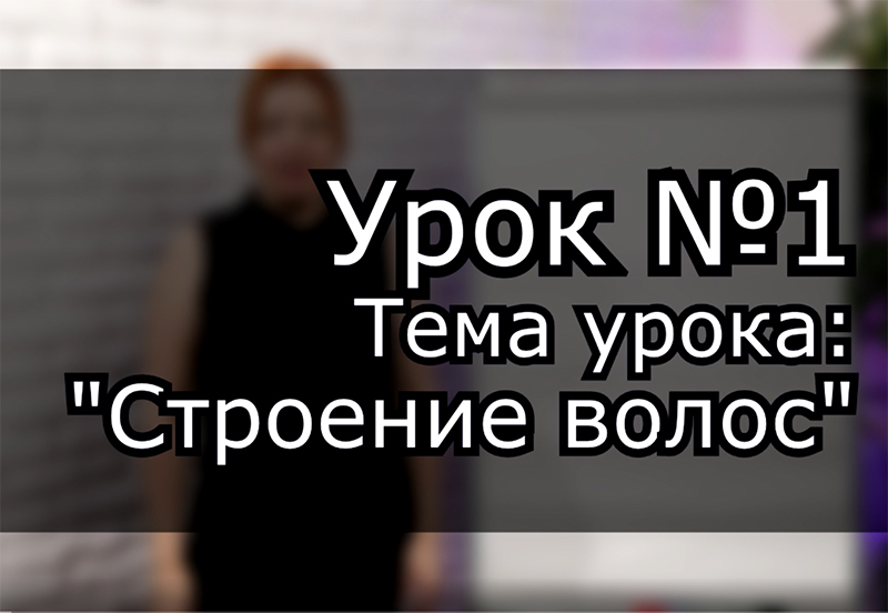 Строение волос